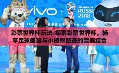 彩票世界杯玩法-探索彩票世界杯，畅享足球盛宴与小概率奇迹的完美结合