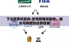 下注世界杯软件-世界杯赌球软件，娱乐与风险的边界探索