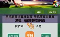 手机购买世界杯彩票-手机照亮世界杯激情，便捷购彩新风尚