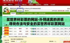 买世界杯彩票的网站-扑朔迷离的诱惑，寻找合法与安全的买世界杯彩票网站