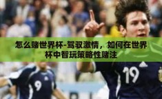 怎么赌世界杯-驾驭激情，如何在世界杯中智玩策略性赌注