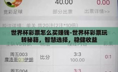 世界杯彩票怎么买赚钱-世界杯彩票玩转秘籍，智慧选择，稳健收益