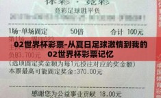 02世界杯彩票-从夏日足球激情到我的02世界杯彩票记忆