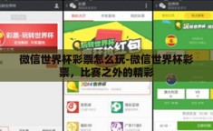 微信世界杯彩票怎么玩-微信世界杯彩票，比赛之外的精彩