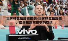 世界杯竞猜彩票规则-世界杯竞猜彩票，探寻乐趣与规则的交织