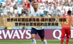 世界杯彩票庄家是谁-揭开面纱，揭露世界杯彩票背后的庄家真相