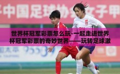 世界杯冠军彩票怎么玩-一起走进世界杯冠军彩票的奇妙世界——玩转足球激情，赢取大奖的秘诀
