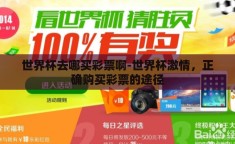 世界杯去哪买彩票啊-世界杯激情，正确购买彩票的途径