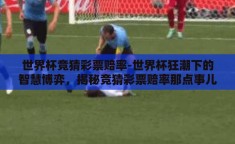 世界杯竞猜彩票赔率-世界杯狂潮下的智慧博弈，揭秘竞猜彩票赔率那点事儿