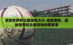 足球世界杯比赛场地大小-足球激情，揭秘世界杯比赛场地的那些事