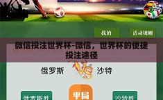 微信投注世界杯-微信，世界杯的便捷投注途径