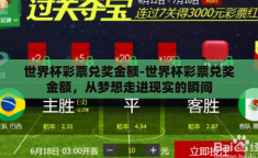 世界杯彩票兑奖金额-世界杯彩票兑奖金额，从梦想走进现实的瞬间