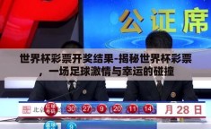 世界杯彩票开奖结果-揭秘世界杯彩票，一场足球激情与幸运的碰撞