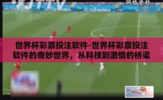 世界杯彩票投注软件-世界杯彩票投注软件的奇妙世界，从科技到激情的桥梁