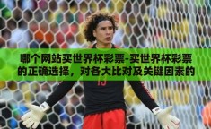 哪个网站买世界杯彩票-买世界杯彩票的正确选择，对各大比对及关键因素的分析