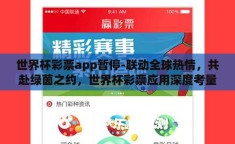 世界杯彩票app暂停-联动全球热情，共赴绿茵之约，世界杯彩票应用深度考量与短暂休憩