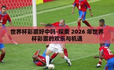 世界杯彩票好中吗-探索 2026 年世界杯彩票的欢乐与机遇