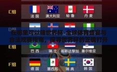 在哪里可以赌世界杯-全球体育盛宴与合法观赛指南，探寻世界杯的正确打开方式