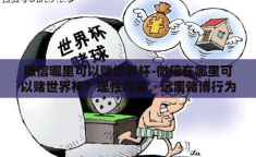 微信哪里可以赌世界杯-微信在哪里可以赌世界杯？理性观赛，远离赌博行为
