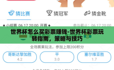世界杯怎么买彩票赚钱-世界杯彩票玩转指南，策略与技巧
