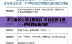 支付宝怎么投注世界杯-支付宝投注世界杯的简便指南