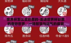 世界杯怎么买彩票的-走进世界杯彩票的奇妙世界，一场智慧与运气的盛宴