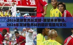 2026足球世界杯竞猜-展望未来赛场，2026年足球世界杯的精彩竞猜与文化碰撞
