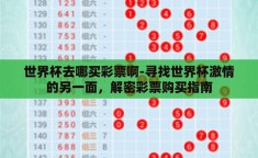 世界杯去哪买彩票啊-寻找世界杯激情的另一面，解密彩票购买指南