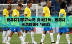 世界杯彩票好中吗-竞技狂热，世界杯彩票的吸引与挑战