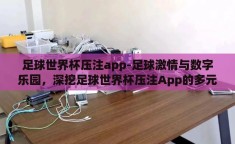足球世界杯压注app-足球激情与数字乐园，深挖足球世界杯压注App的多元魅力