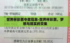 世界杯彩票中奖信息-世界杯彩票，梦想与现实的交集