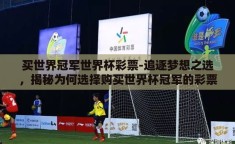 买世界冠军世界杯彩票-追逐梦想之选，揭秘为何选择购买世界杯冠军的彩票