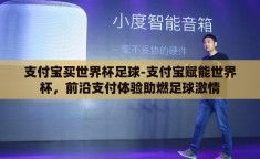 支付宝买世界杯足球-支付宝赋能世界杯，前沿支付体验助燃足球激情