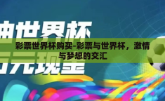 彩票世界杯购买-彩票与世界杯，激情与梦想的交汇