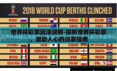 世界杯彩票玩法说明-探析世界杯彩票，激动人心的玩家指南
