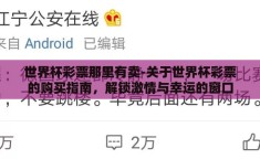 世界杯彩票那里有卖-关于世界杯彩票的购买指南，解锁激情与幸运的窗口