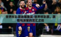 世界杯彩票去哪里买-世界杯彩票，激情与决策的交汇之处