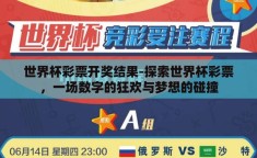 世界杯彩票开奖结果-探索世界杯彩票，一场数字的狂欢与梦想的碰撞