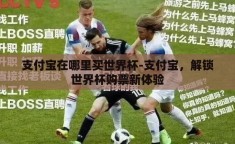 支付宝在哪里买世界杯-支付宝，解锁世界杯购票新体验
