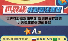 世界杯彩票跟哪里买-探索世界杯彩票，选择正规渠道的关键
