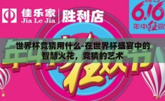 世界杯竞猜用什么-在世界杯盛宴中的智慧火花，竞猜的艺术
