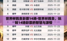 世界杯胜负彩票14场-世界杯胜负，玩转14场彩票的智慧与激情