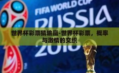 世界杯彩票猜输赢-世界杯彩票，概率与激情的交织