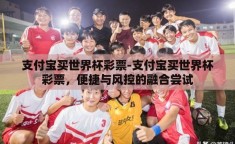 支付宝买世界杯彩票-支付宝买世界杯彩票，便捷与风控的融合尝试