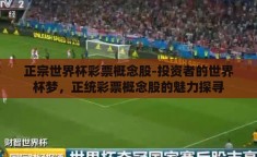 正宗世界杯彩票概念股-投资者的世界杯梦，正统彩票概念股的魅力探寻