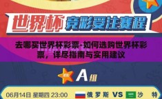 去哪买世界杯彩票-如何选购世界杯彩票，详尽指南与实用建议