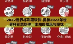 2022世界杯彩票软件-揭秘2022年世界杯彩票软件，未知的娱乐与隐忧
