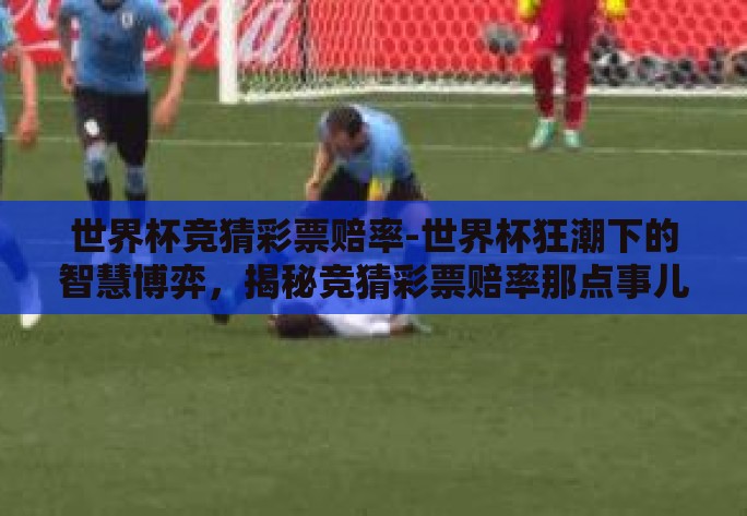 世界杯竞猜彩票赔率-世界杯狂潮下的智慧博弈，揭秘竞猜彩票赔率那点事儿