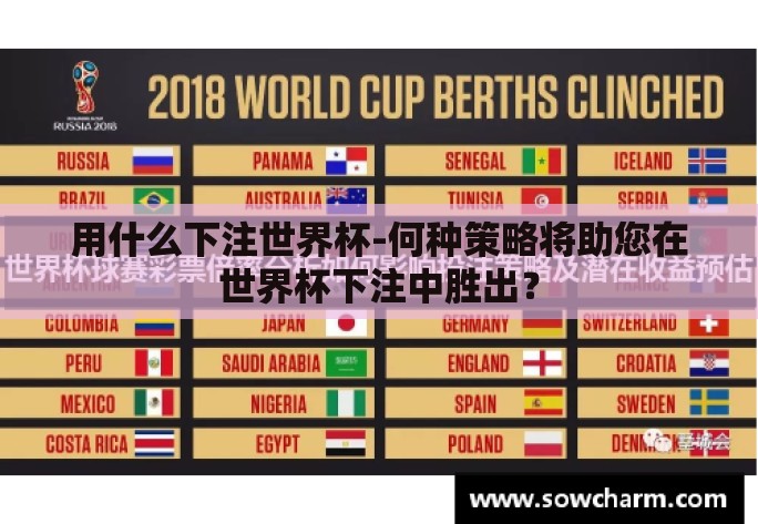 用什么下注世界杯-何种策略将助您在世界杯下注中胜出？