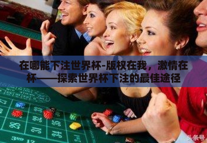 在哪能下注世界杯-版权在我，激情在杯——探索世界杯下注的最佳途径